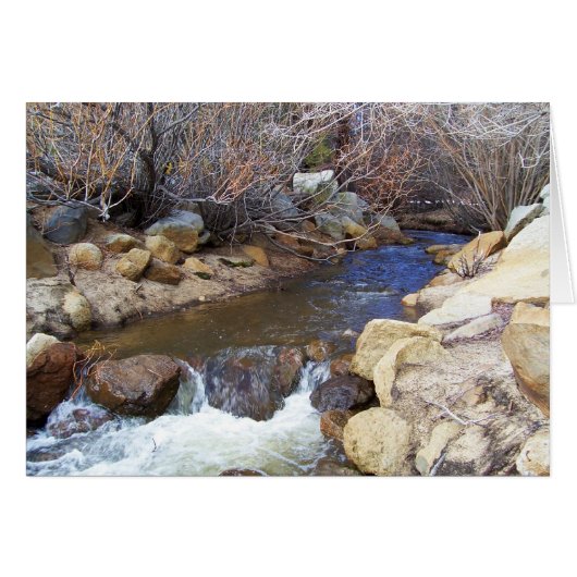 Creek Cards (Front Horizontal)