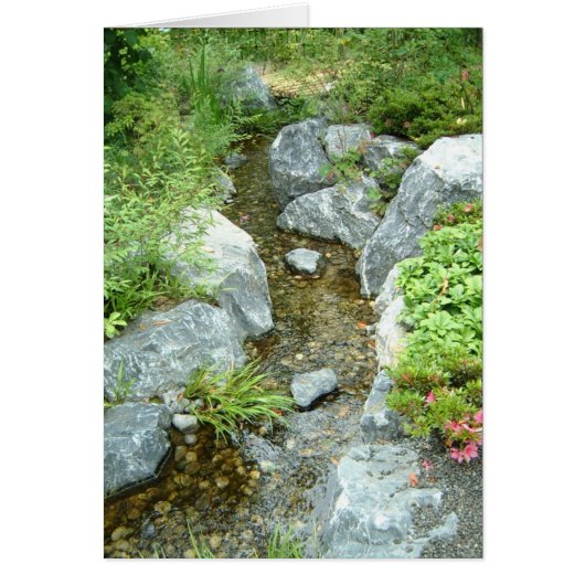 Creek Cards (Front)
