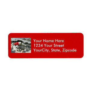 Creek Chub Pikie Redhead Jointed Lure Address Label