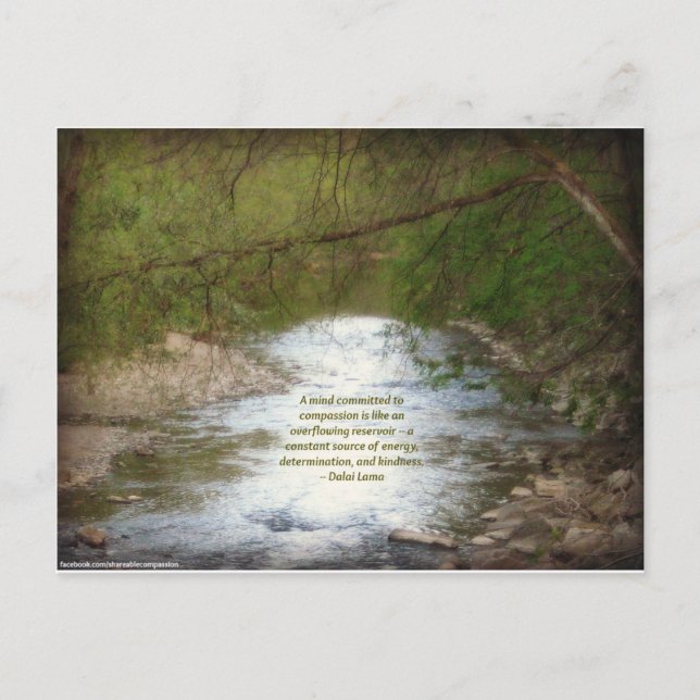 Creek & Dalai Lama Compassion Quote Postcard (Front)