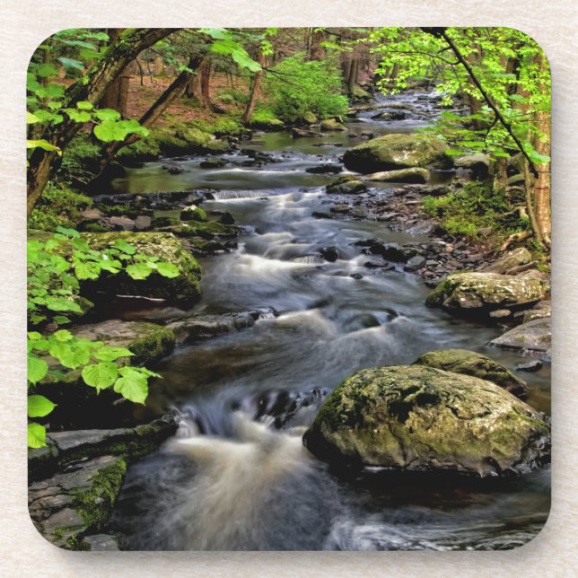 Creek flows through forest beverage coaster (Front)