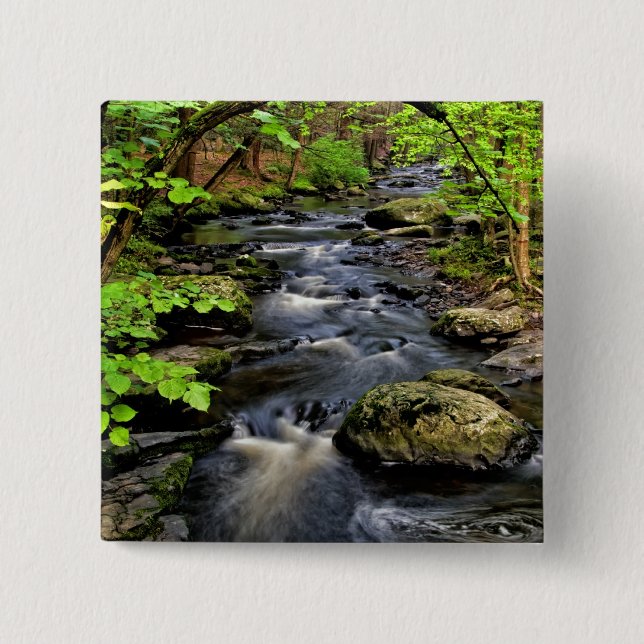 Creek flows through forest pinback button (Front)