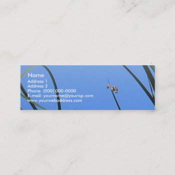 Creek Grass Blue Sky Blend Profile Card by profilesincolor at Zazzle