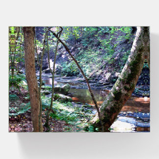 Creek in Forest Paperweight