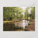 Creek in New Forest Postcard