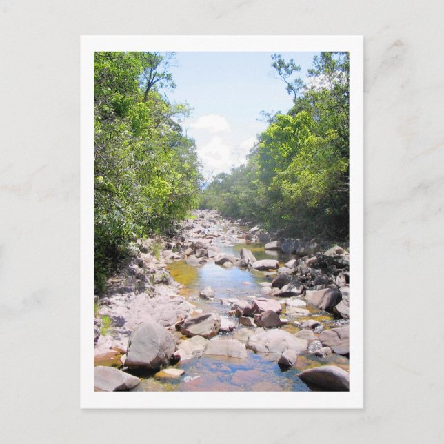 Creek in Venezuela Jungle Landscape Postcard (Front)