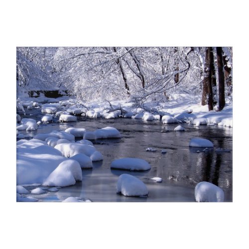 Creek in Winter photo Acrylic Print