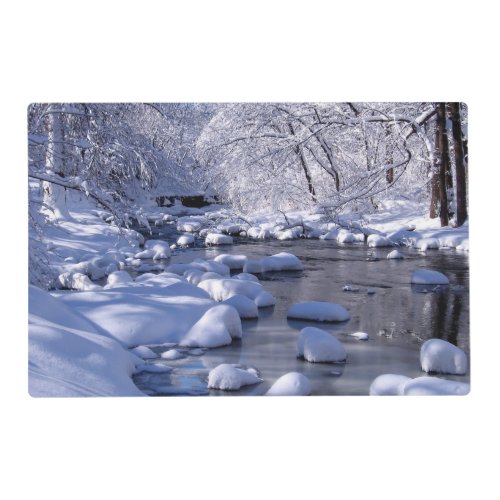 Creek in Winter photo Placemat