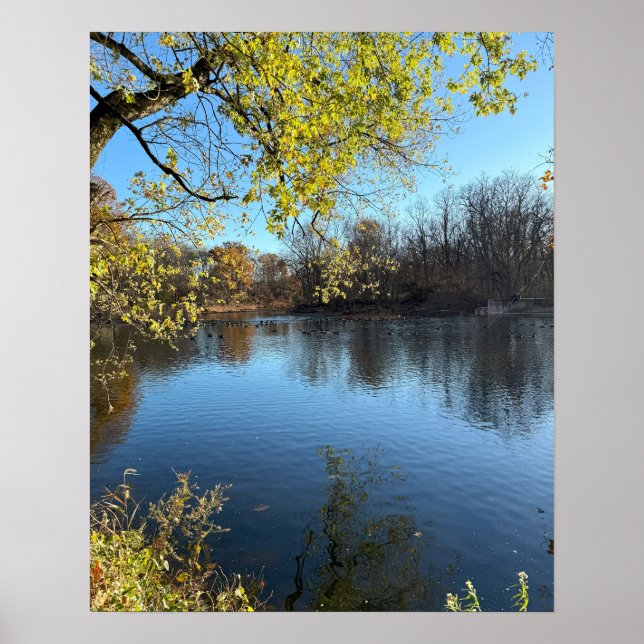 Creek Photo Poster (Front)