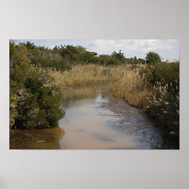 Creek Waterscape Poster (Front)