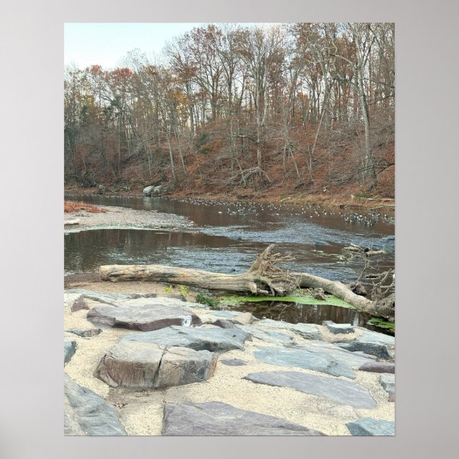 Creek Waterscape Poster (Front)