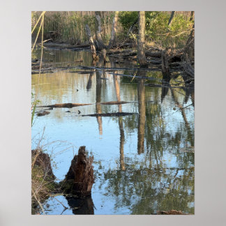 Creek Waterscape Reflections Photo Poster