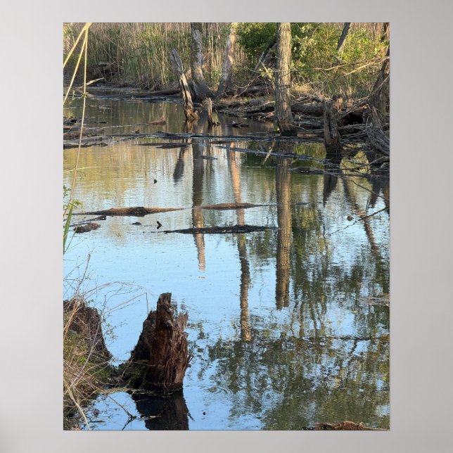 Creek Waterscape Reflections Photo Poster (Front)