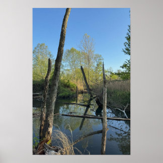 Creek Waterscape Reflections Poster
