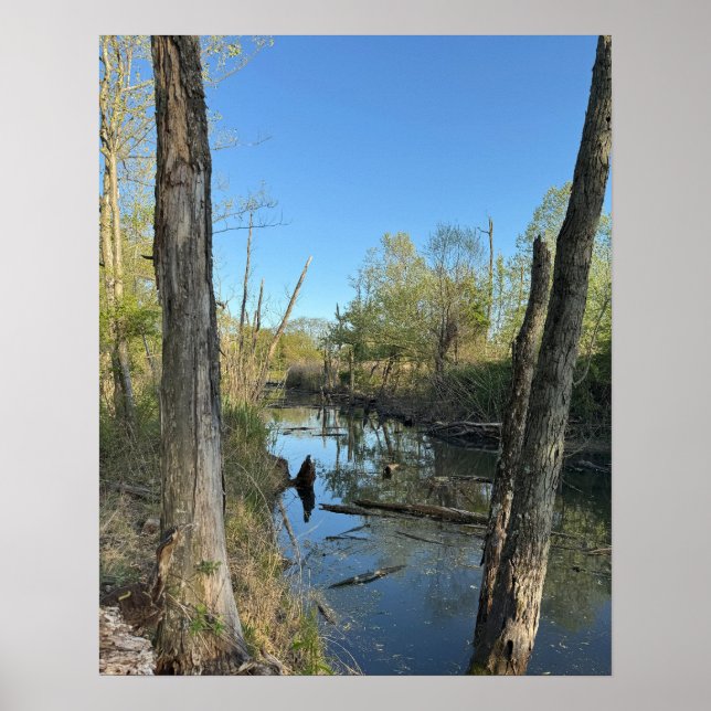 Creek Waterscape Reflections Poster (Front)