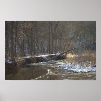 Creek Winter Waterscape Poster