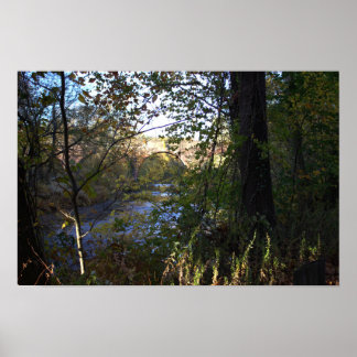 Creek with Bridge Poster