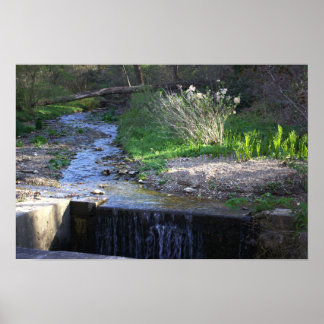 Creek with Small Waterfall Poster