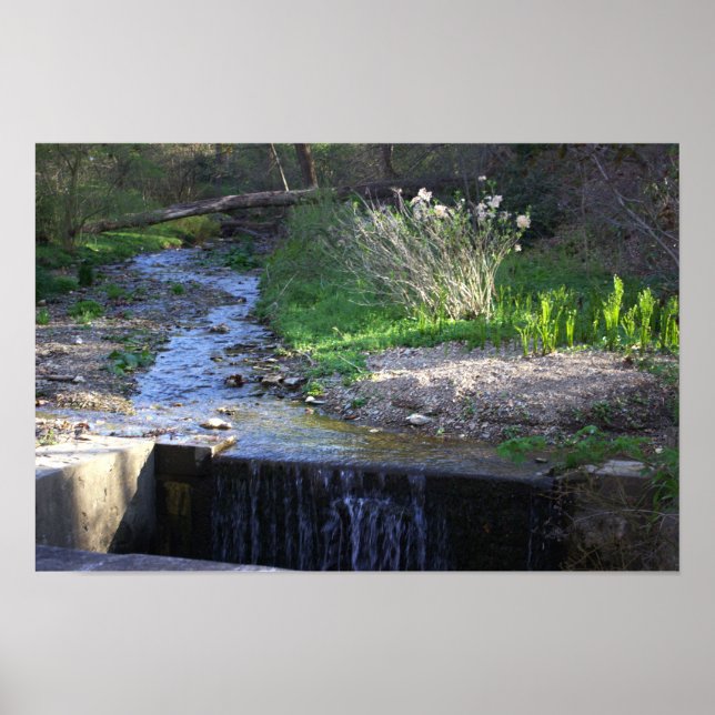 Creek with Small Waterfall Poster (Front)
