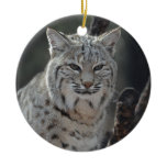Creeping Bobcat Ceramic Ornament
