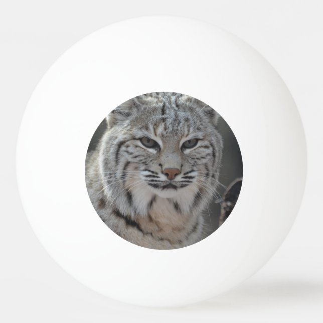 Creeping Bobcat Ping-Pong Ball (Front)