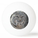 Creeping Bobcat Ping-Pong Ball