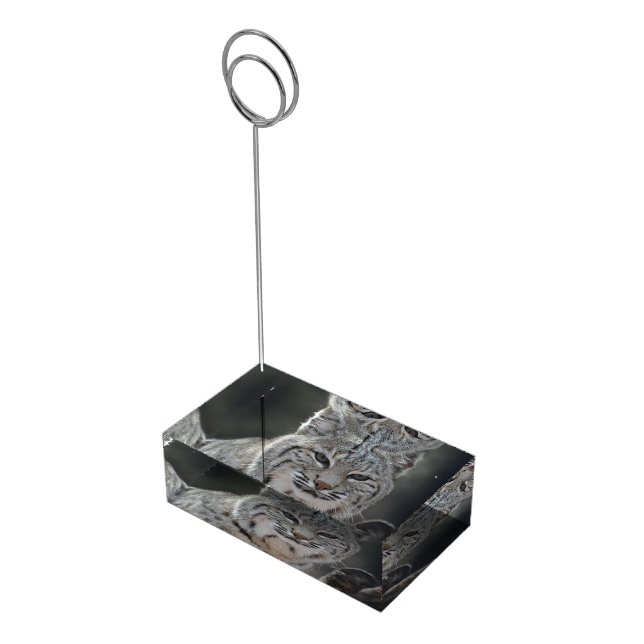 Creeping Bobcat Place Card Holder (Corner)