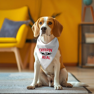Creeping It Real Halloween Gift Pet Bandana Collar