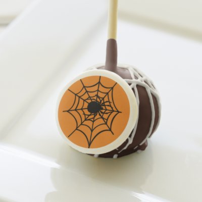 Creepy Black Spider in Web Halloween