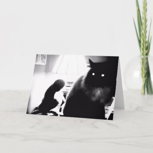 Creepy Cat Greeting Cards _ Blank Inside