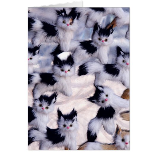 creepy cats cards (Front)
