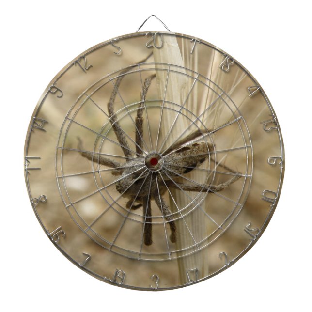 Creepy Crawly Spider Dart Board (Front)