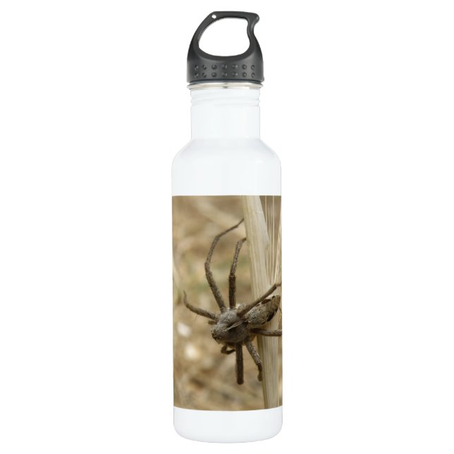 Creepy Crawly Spider Water Bottle (Front)