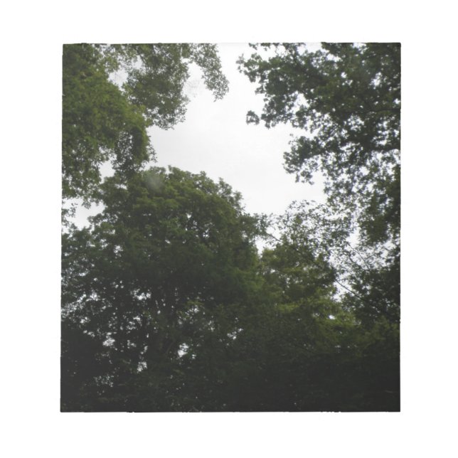 Creepy Forest Notepad (Front)