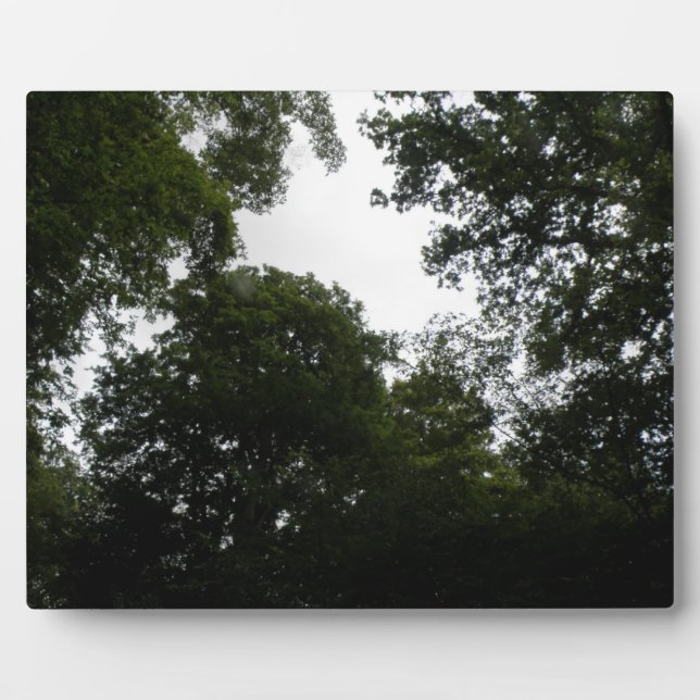 Creepy Forest Plaque (Front)