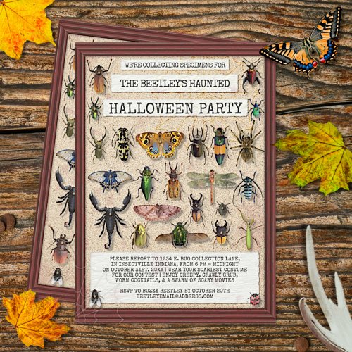 Creepy Halloween Party  Fun Bug Insect Collection Invitation