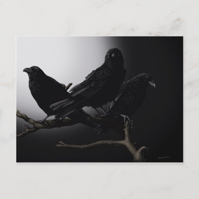 Creepy Ravens in the Moonlight Postcard (Front)