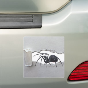 Creepy spider black widow escape from inside car magnet