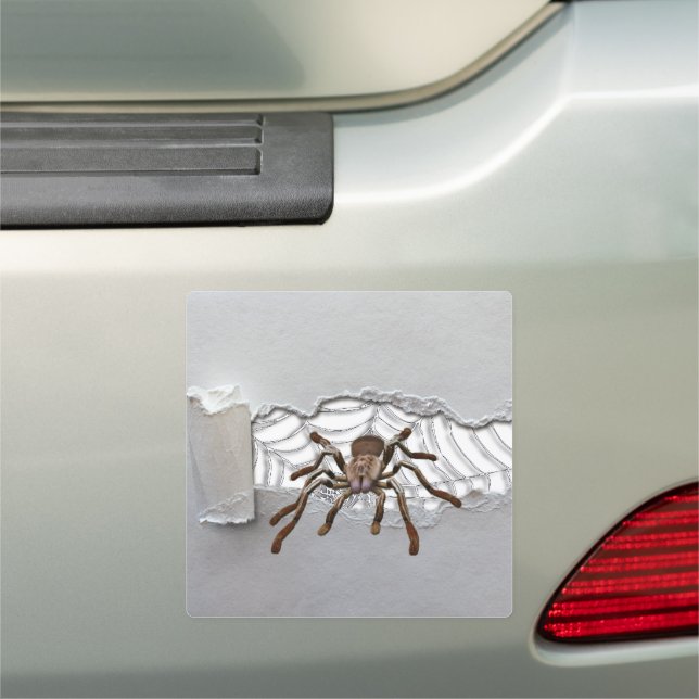 Creepy spider escape from web car magnet (In Situ)