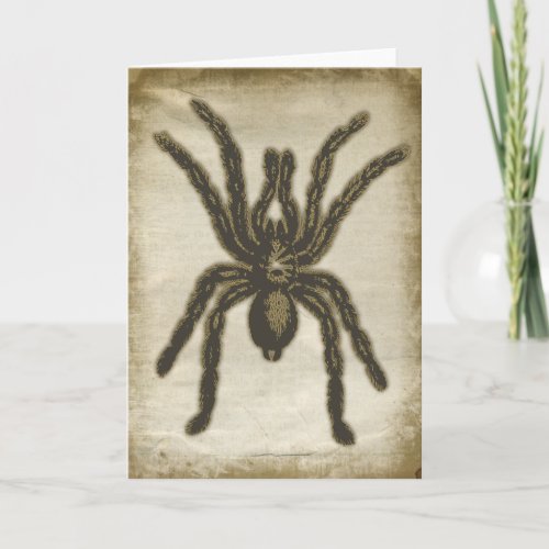 Creepy Spider Greeting Card