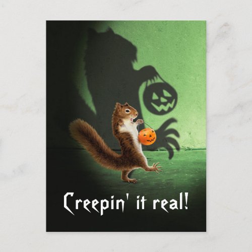 Creepy Squirrel Shadow Invitation Postcard