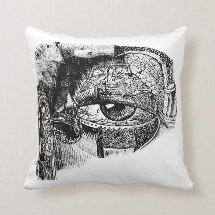 Creepy Vintage Eyeball Anatomy Diagram Throw Pillow Zazzle Com
