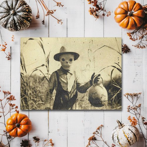 Creepy Vintage Skeleton in corn field Postcard