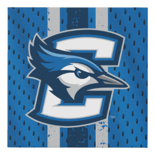 Creighton University Jersey Faux Canvas Print