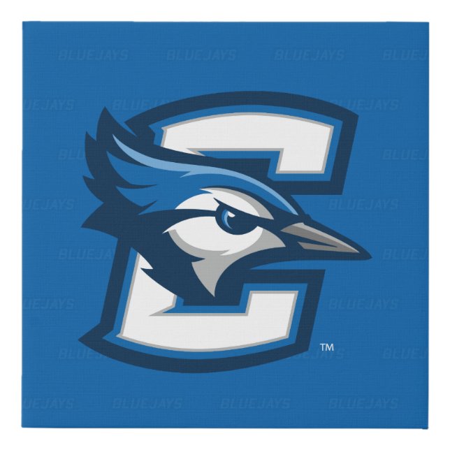 Creighton University Logo Watermark Faux Canvas Print (Front)