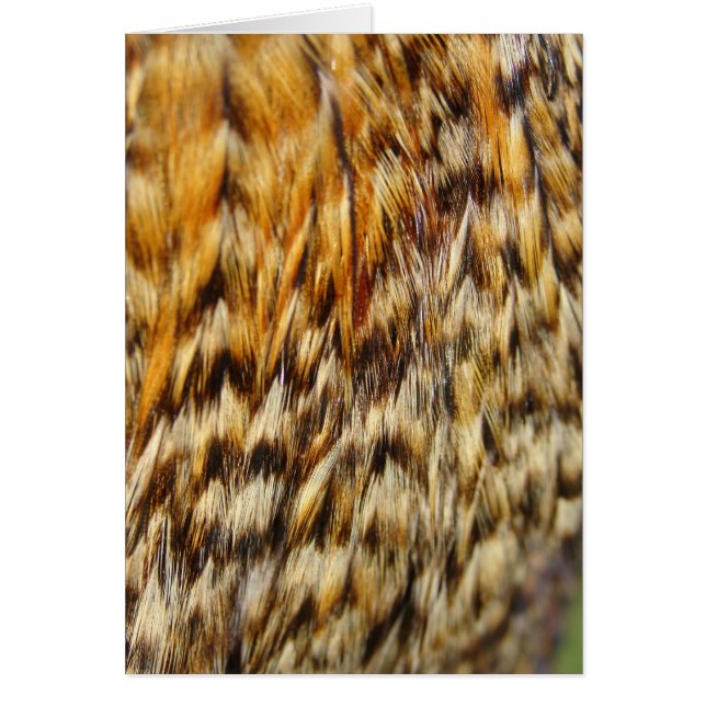 Creole Chicken Feathers Cards (Front)