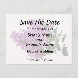 Crepe Myrtle Announcement Postcard