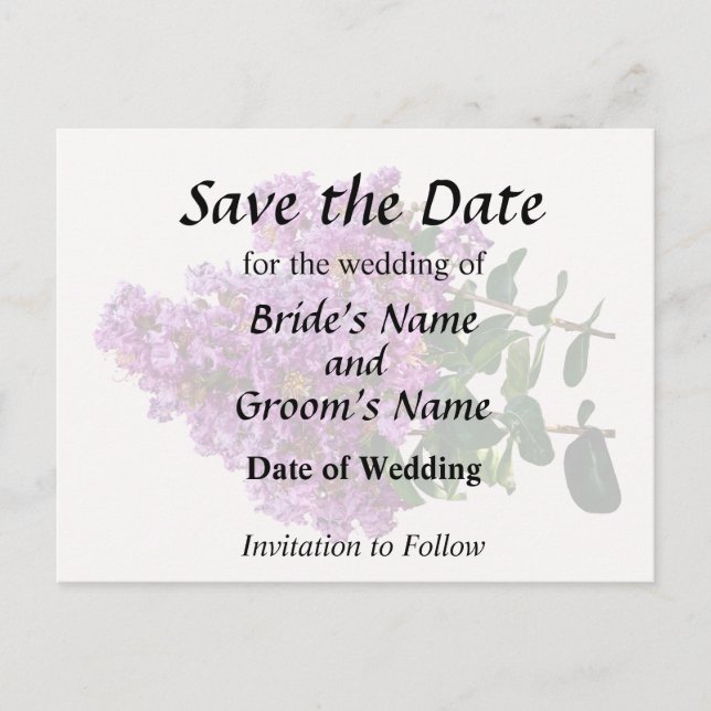 Crepe Myrtle Announcement Postcard (Front)