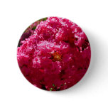 Crepe Myrtle Tree Magenta Floral Button