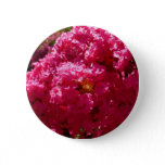 Crepe Myrtle Tree Magenta Floral Button